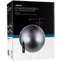 Gym Ball AVENTO 42OD 65cm +pomp Silver