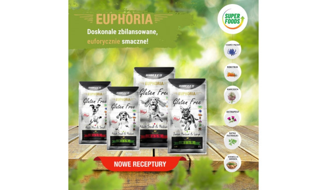 Dry Dog Food - BIOFEED Euphoria Gluten Free Adult Medium & Large Lamb 12kg