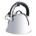 Stainless Steel Kettle - Maestro Mr-1320-s, Silver