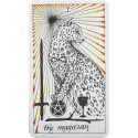 Harper One The Wild Unknown Tarot Cards