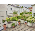 DRIP IRRIGATION KIT