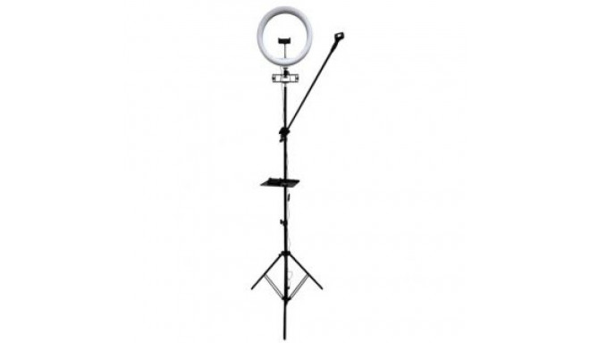 iLike S12 LED Selfie 31cm Ring Light Lamp + Tripod Stand 2.1m + Shelf&3x phone / Mic Holder Blac