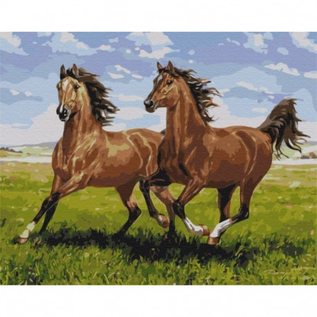 Picture Paint it! Painting by numbers. Horses in the meadow