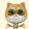 Nimmy iPhone 16 6.1" case khaki Cool&Cute 2.0 Cat