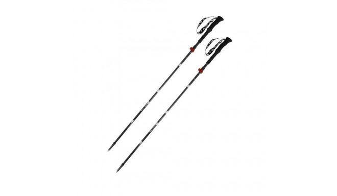 Expert Poles carbon-red VOLVEN