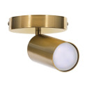 Ceiling Lamp - Activejet Spectra Gu10, Gold
