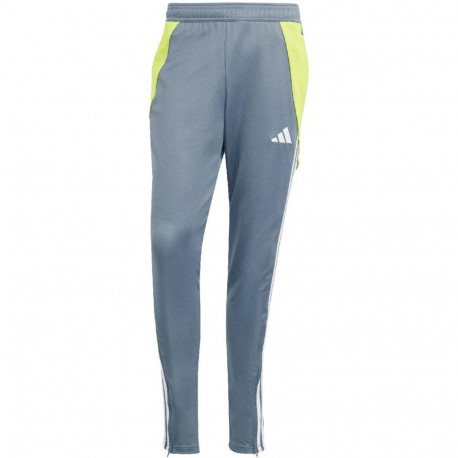 adidas meeste treeningpüksid Tiro 24 Training IV6945 2XL, hall
