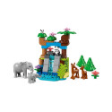 LEGO DUPLO 10446 3in1 Metsloomade Pered