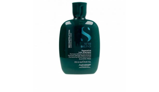 Shampoo Alfaparf Milano SEMI DI LINO 250 ml