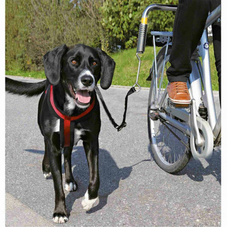Dog Lead Trixie S/M Reflective Bicycle
