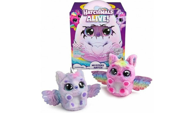 Beebinukk Spin Master