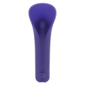 Clitoral Stimulator Evolved Purple