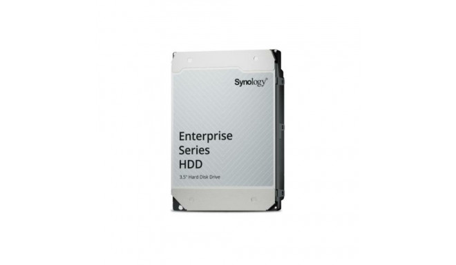 Kõvaketas Synology HAS5310-20T