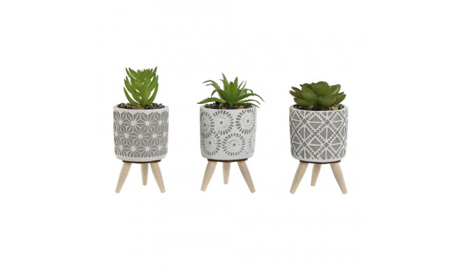 Dekoratiivne Taim Home ESPRIT Polüetüleen Tsement 6,5 x 6,5 x 11 cm (3 Ühikut)