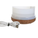 Essential Oil Diffuser Home ESPRIT Urban 220 ml