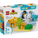 LEGO DUPLO Metsloomade perekonnad: pingviinid ja lõvid