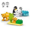 LEGO DUPLO Metsloomade perekonnad: pingviinid ja lõvid