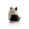 Squishmallows Bluetooth speaker Cam