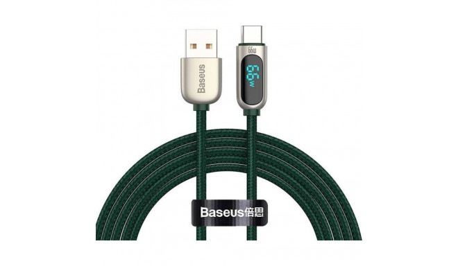 Baseus Display Cable USB to Type-C  66W  1m (green)