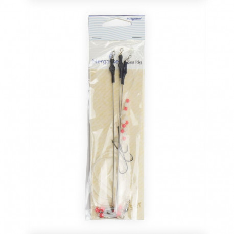 Rakendus Rig 3 3 konksud  4 0.6mm/0.4mm 120cm