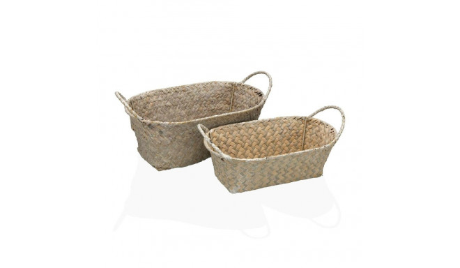 Basket set Versa Marine algae 20 x 12 x 30 cm