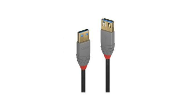 Lindy Anthra Line - USB cable - USB Type A to USB Type A - 50 cm