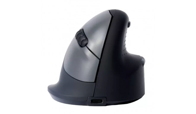 R-Go Tools HE Break RGOHBRSWLBL Mouse