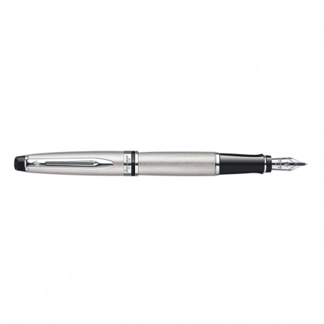 Waterman Expert fountain pen