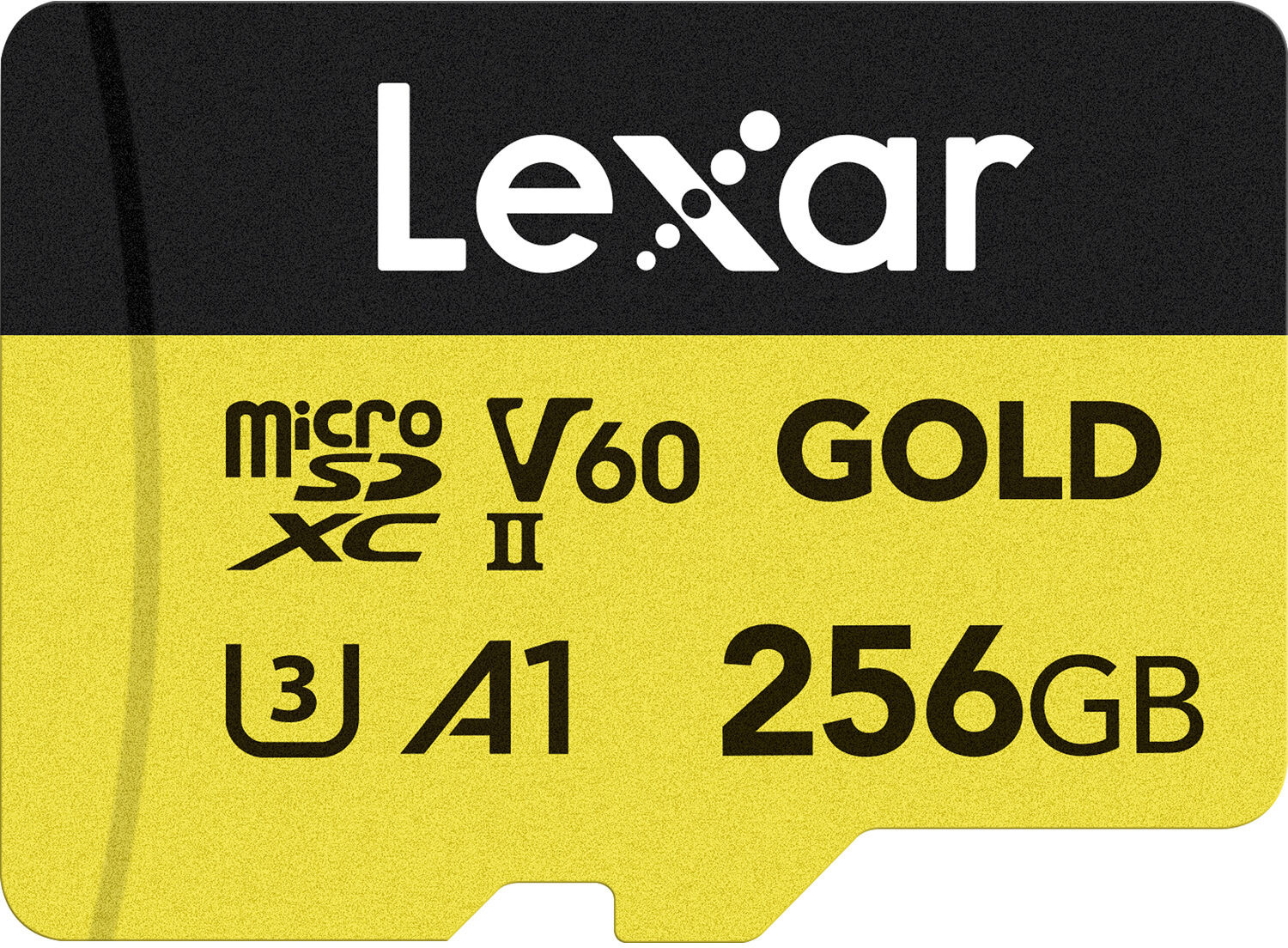 LEXAR LMSGOLD256G-BNNNG