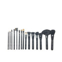 MOI BROCHAS Y PINCELES PROFESSIONAL ESTUCHE 15 pz