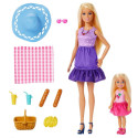 Barbie Dolls and Accessories