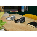 Panasonic wireless headset RB-HX220BDES, silver (opened package)