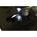 Levenhuk D740T 2000x Optical microscope