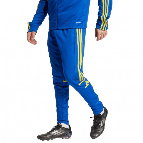 Adidas meeste treeningpüksid Squadra 25 JP3152 2XL, sinine-kollane