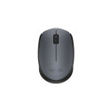 Wireless mouse M170
