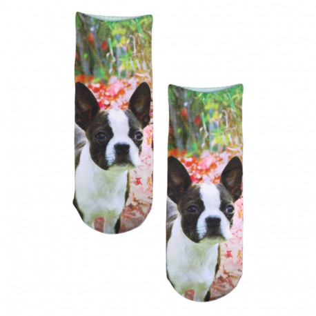 SOKISAHTEL PRINT bulldogi pildiga prinditud sokid lastele