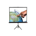 Avtek projector screen Tripod Pro 200 1:1