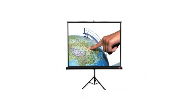 Avtek TRIPOD Pro 200 projection screen 1:1