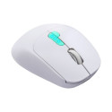 MOUSE DEFENDER NITTA MM-307 RF+BT OPTIC 1600dpi 6P WHITE