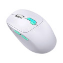 MOUSE DEFENDER NITTA MM-307 RF+BT OPTIC 1600dpi 6P WHITE