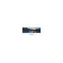 Dell MONITOR LCD 49" U4924DW IPS/210-BGTX