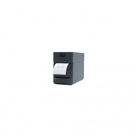 Seiko SLP721RT, 8 dots/mm (203 dpi), cutter, USB, BT, black (6 tk.)