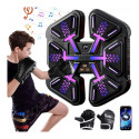 RoGer BOX1 Electronic Wall Panel for Boxing with Bluetooth and RGB Backlight