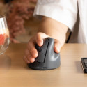 R-Go Tools Vertical mouse R-Go HE Basic, ergonomic mouse, medium (hand size ≥ 185 mm), right-handed,