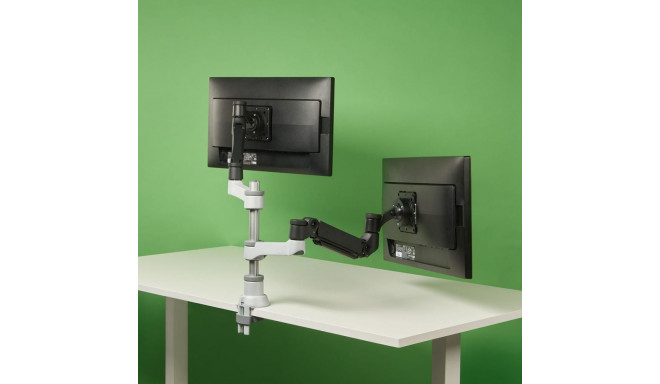 R-Go Tools monitorihoidik R-Go Caparo Dual, kahe monitori jaoks, reguleeritav gaasvedruga, 3-9 kg ka