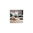 Philips HomeRun 2000 Series Aqua Wet and dry cleaning robot XU2000/10