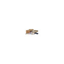 Phaser 3020 / WorkCentre 3025 Dual Pack Print Cartridge