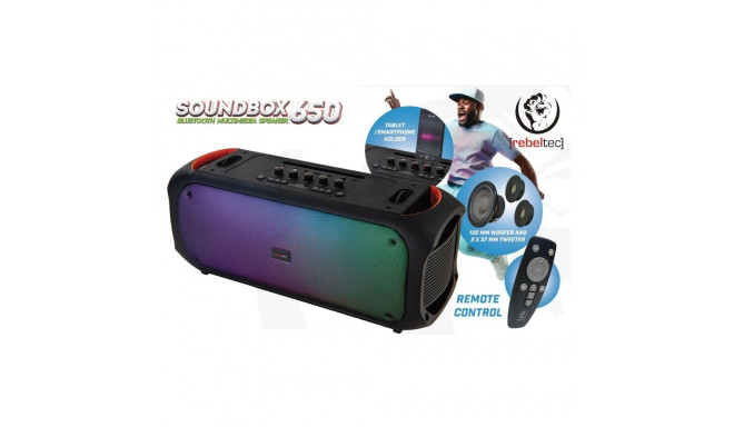 Bluetooth kõlar FM/USB SoundVox 650