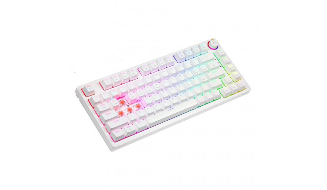 Mechanical Keyboard Phen SAVIO