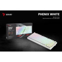 Mechanical Keyboard Phen SAVIO